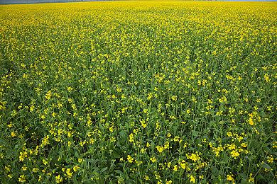 开放世界竞速RPG《Resistor》公开